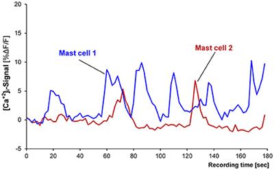 Calcium Imaging of Nerve-Mast Cell Signaling in the Human Intestine